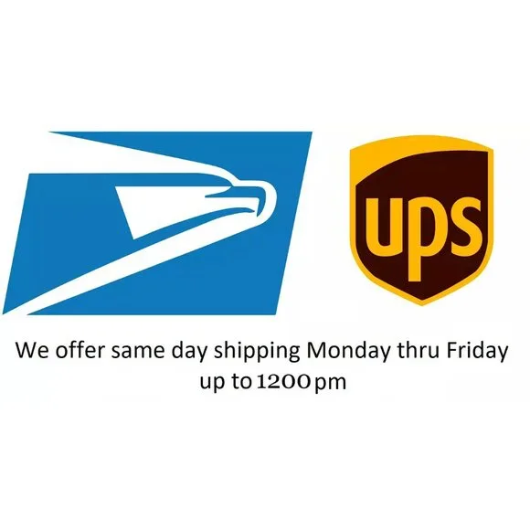 A New Day Green & White Geo Moon Print High Rise Ankle Length Pants - Picture 4 of 6